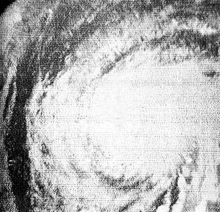 Image of Esther 1961