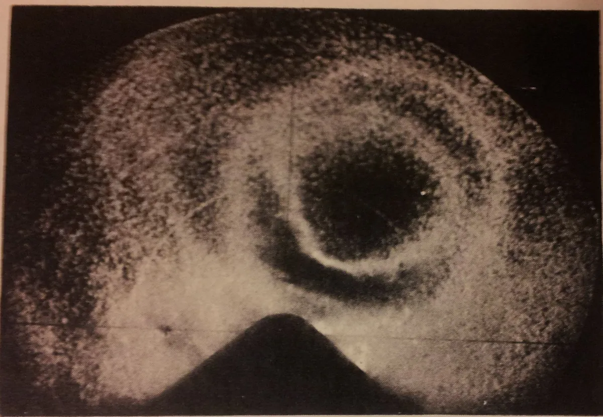 Image of Inez 1966