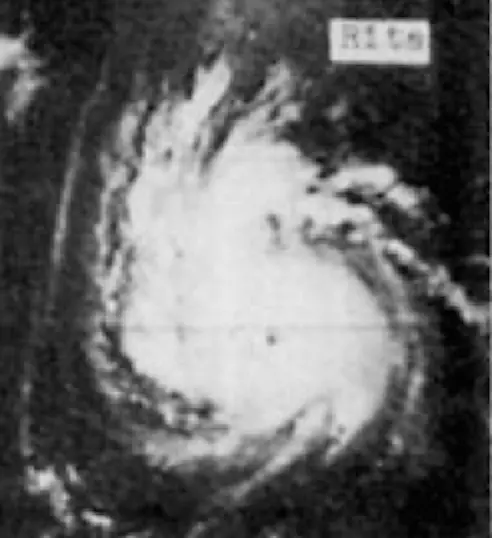 Image of Rita 1972