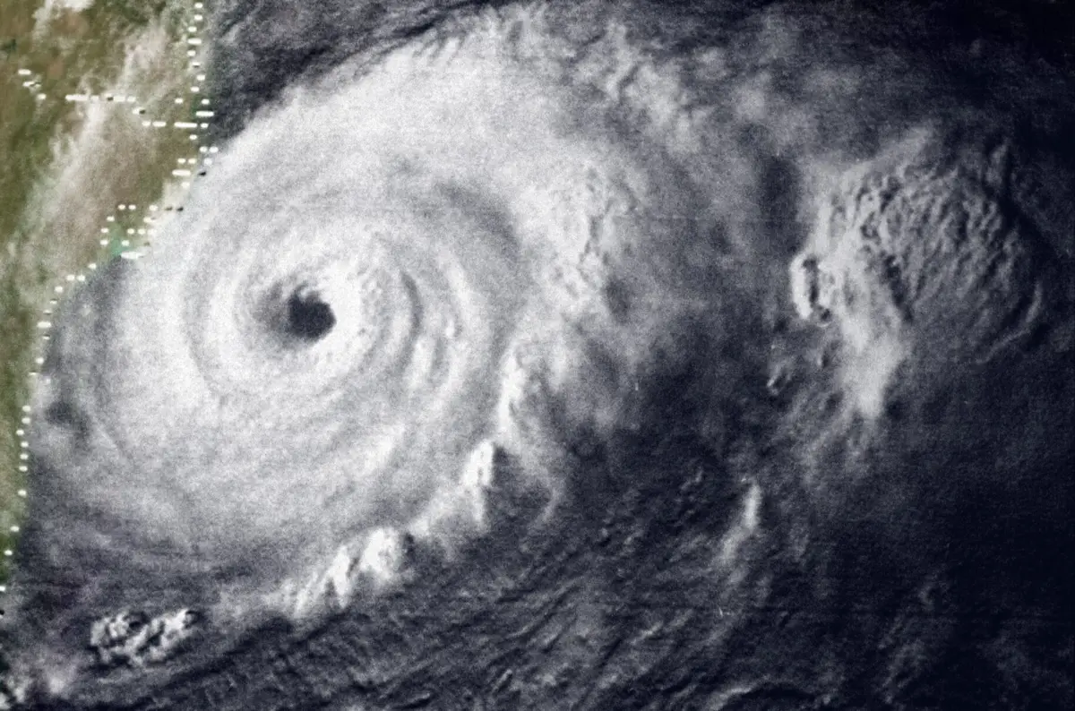 Image of Anita 1977