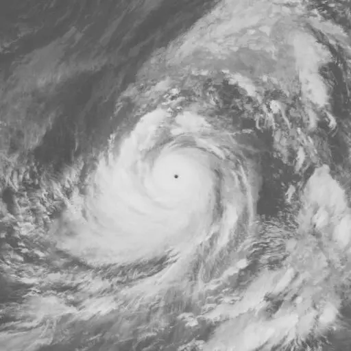 Tip 1979: TIP infrared satellite image, 1979-10-12T03:00:00Z