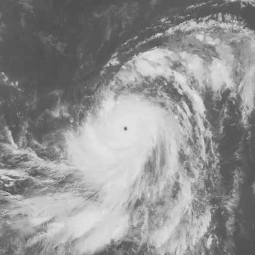Elsie 1981: ELSIE infrared satellite image, 1981-09-28T03:00:00Z
