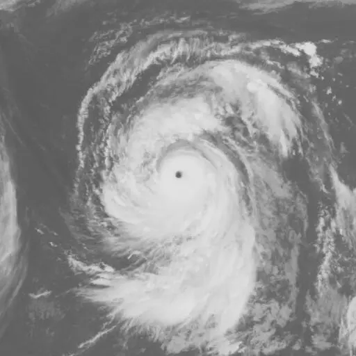 Bess 1982: BESS infrared satellite image, 1982-07-29T03:00:00Z