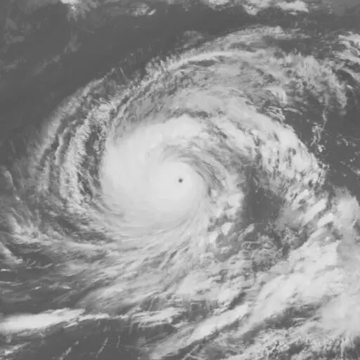 Mac 1982: MAC infrared satellite image, 1982-10-05T03:00:00Z