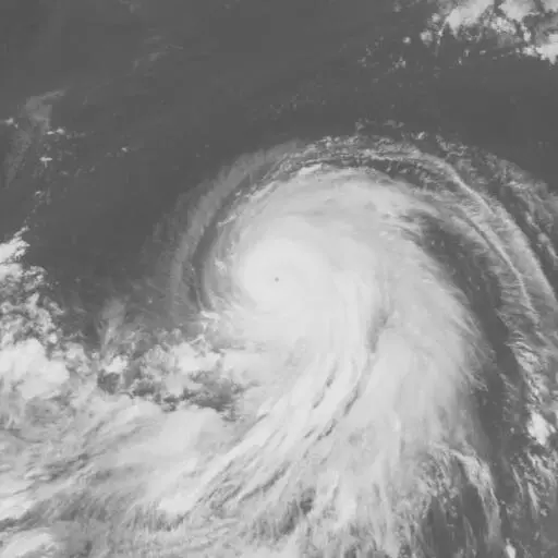 Forrest 1983: FORREST infrared satellite image, 1983-09-23T03:00:00Z