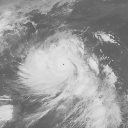 Vanessa 1984: VANESSA infrared satellite image, 1984-10-26T03:00:00Z