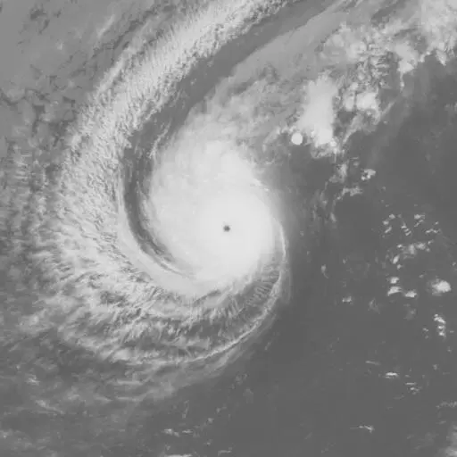 Irma 1989: IRMA infrared satellite image, 1989-11-30T00:00:00Z