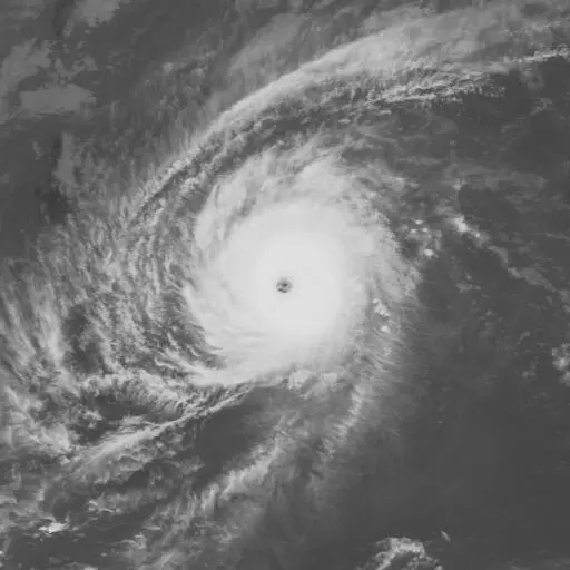 Page 1990: PAGE infrared satellite image, 1990-11-26T03:00:00Z