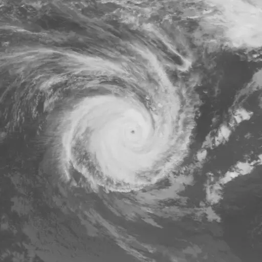 Fran 1992: FRAN infrared satellite image, 1992-03-09T06:00:00Z
