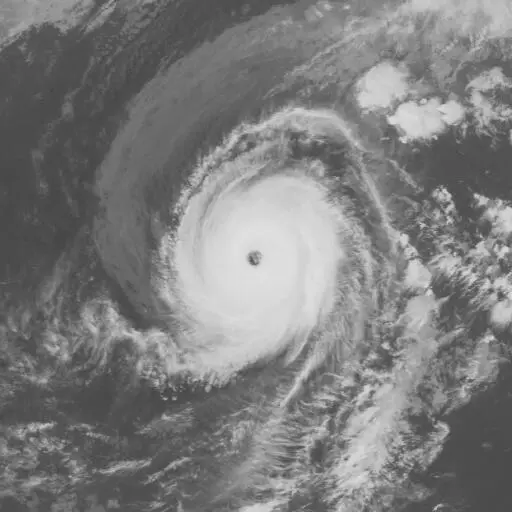 Elsie 1992: ELSIE infrared satellite image, 1992-11-05T03:00:00Z