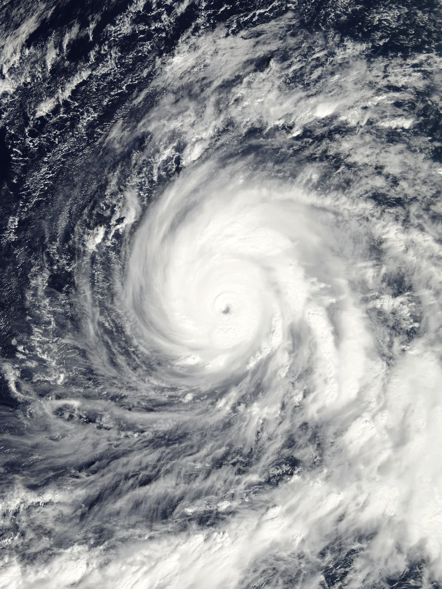 Satellite image of Nida 2009