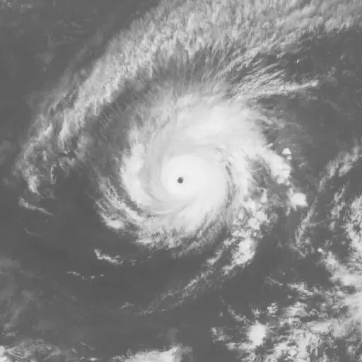 Maysak 2015: MAYSAK infrared satellite image, 2015-03-31T03:00:00Z