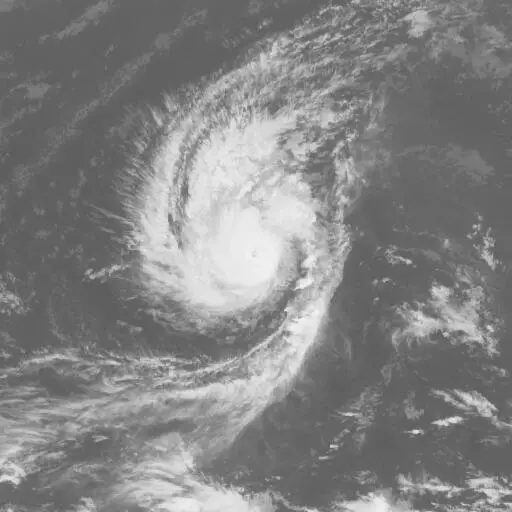 Wutip 2019: WUTIP infrared satellite image, 2019-02-23T03:00:00Z